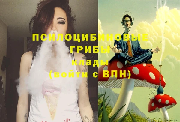 стафф Володарск